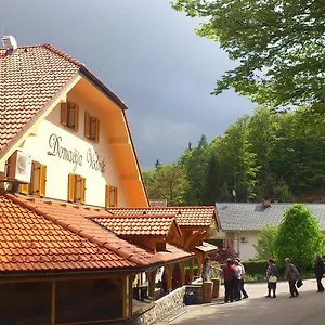 3* Hotel Domacija Vodnik &